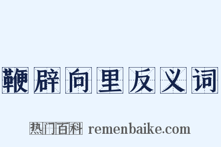 鞭辟向里反义词是什么意思的图片